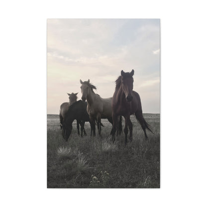 Rez Horses Canvas Print — 24" x 36" Stretched 0.75" Wall Art